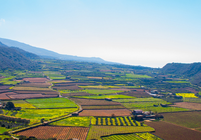 Agenzia/operatore Turistico Bepantelleria